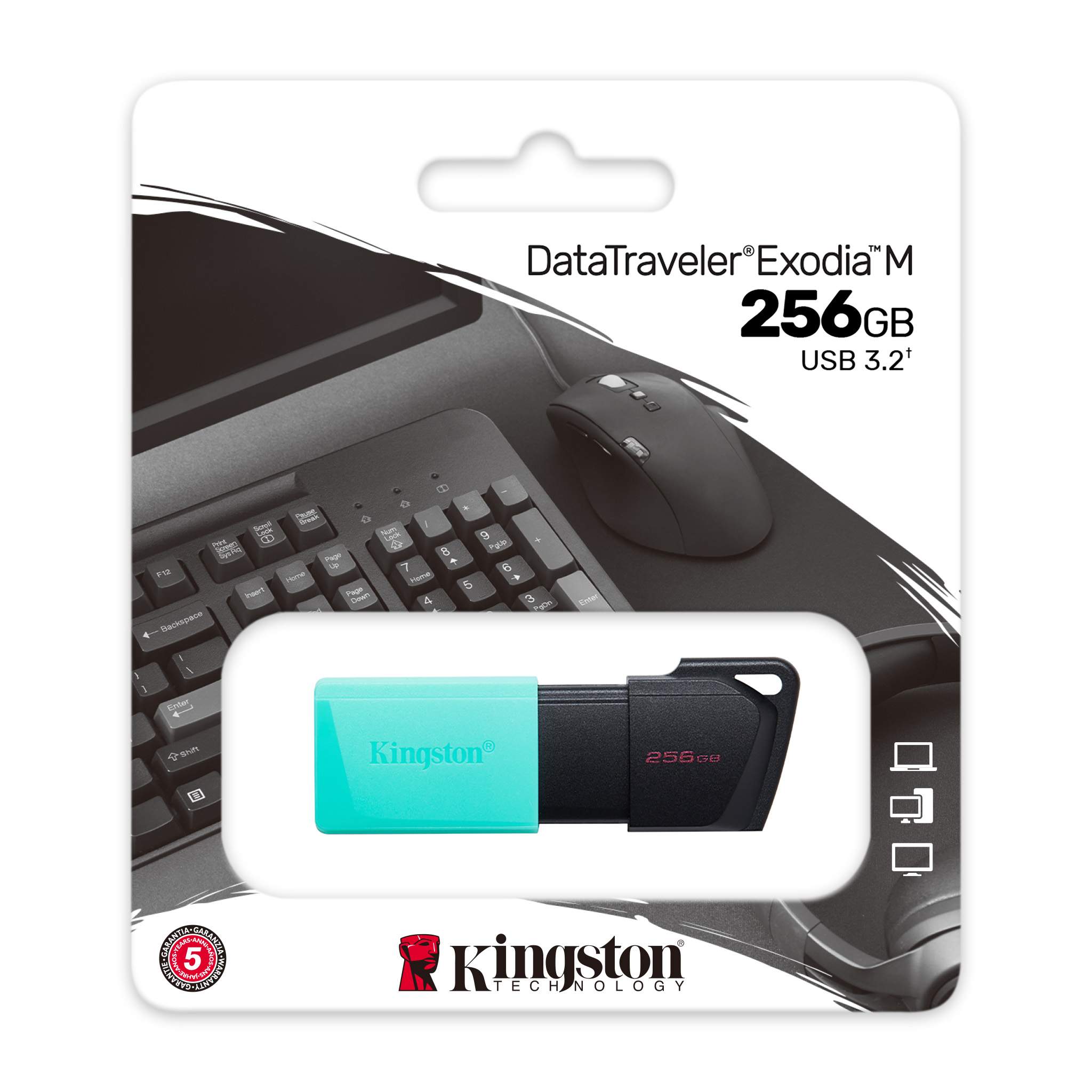 MEM UFD 256GB DTXM KIN-7
